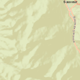 Luz-Saint-Sauveur Street Map