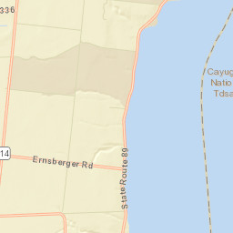 McDuffie Town New York Street Map