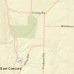 Footes New York Street Map