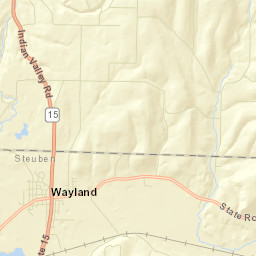 Wayland New York Street Map