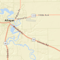 Allegan Street Map