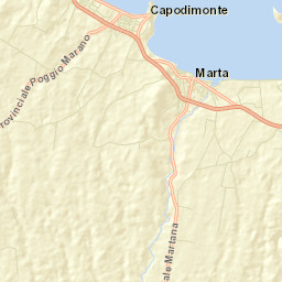Marta Street Map