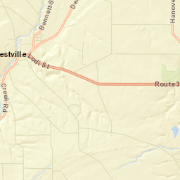 Forestville New York Street Map