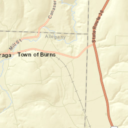 Burns New York Street Map