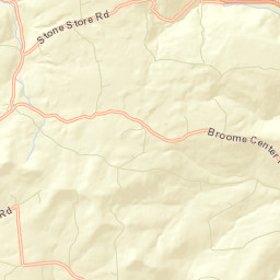 Livingstonville New York Street Map