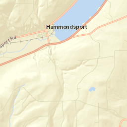 Rheims New York Street Map