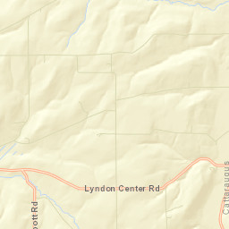 Elgin New York Street Map