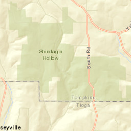 Caroline Center New York Street Map