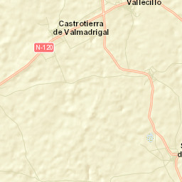 Vallecillo Street Map