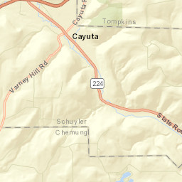 Cayuta New York Street Map