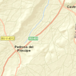 Pedrosa del Príncipe Street Map