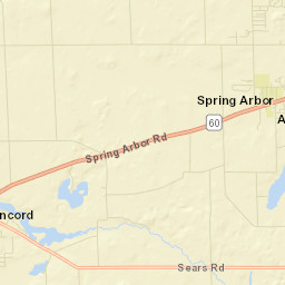 Spring Arbor Street Map
