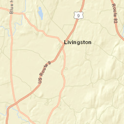 Livingston New York Street Map