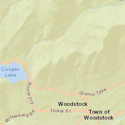 Shady New York Street Map