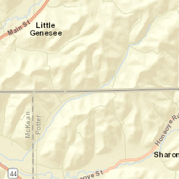 Little Genesee New York Street Map
