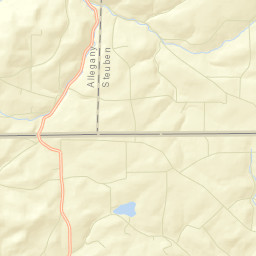 Wileyville New York Street Map