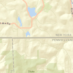 Danville New York Street Map