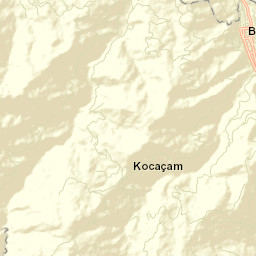 Bozkurt Street Map