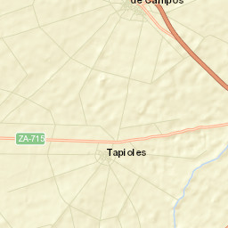 Cerecinos de Campos Street Map