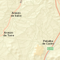 Arauzo de Torre Street Map