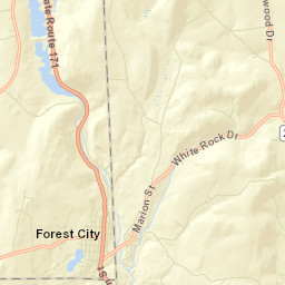 Forest City Street Map