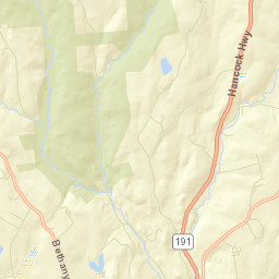 Wayne County Street Map