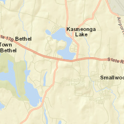 White Lake New York Street Map