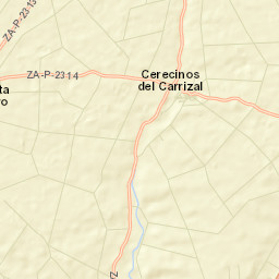 Cerecinos del Carrizal Street Map