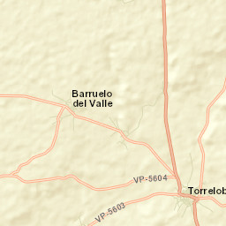 Torrecilla de la Torre Street Map