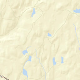 Tylertown New York Street Map