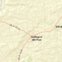 Gallegos del Pan Street Map