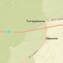 Torregamones Street Map