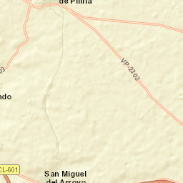 San Miguel del Arroyo Street Map