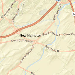 Pellets Island New York Street Map