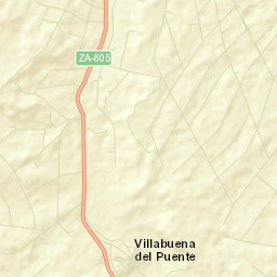 Villabuena del Puente Street Map
