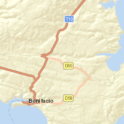Bonifacio Street Map