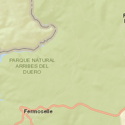 Fermoselle Street Map
