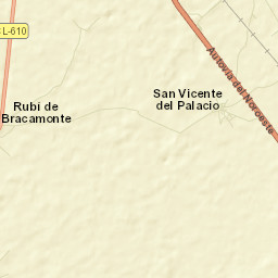 San Vicente del Palacio Street Map