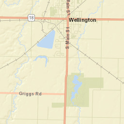 Wellington Ohio Street Map