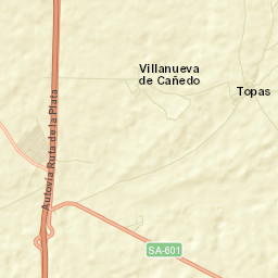 Topas Street Map