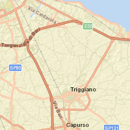Triggiano Street Map