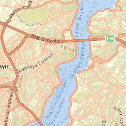 Beşiktaş Street Map