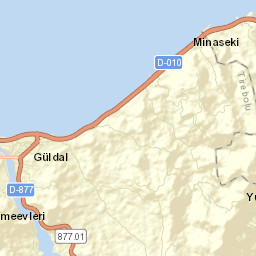 Tirebolu Street Map