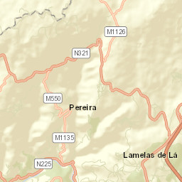 Castro Daire Street Map