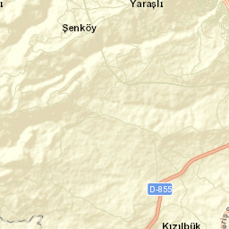 Altınordu Street Map
