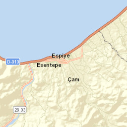 Espiye Street Map