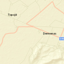 Bashkia Fier Street Map