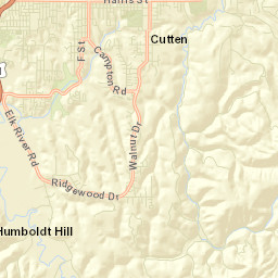 Pine Hill California Street Map