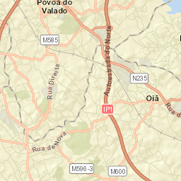 Oiã Street Map