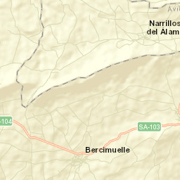 Narrillos del Álamo Street Map